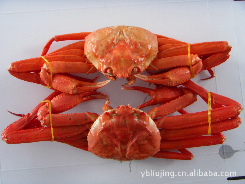 红蟹整蟹朝鲜东海产红蟹无污染柳京物产批发蟹类水产品批发