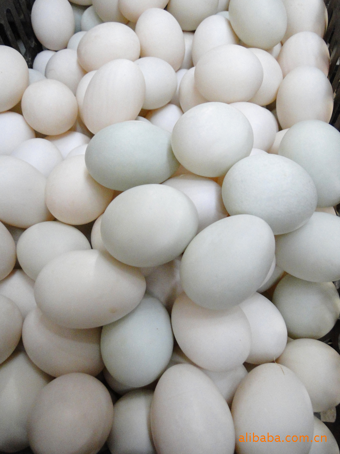 【厂家供应 鸭蛋 松花蛋 咸鸭蛋 咸鸭蛋 真空咸鸭蛋(图)】价格,厂家,