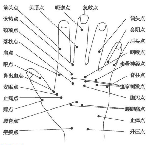 手臂刮痧图解图片