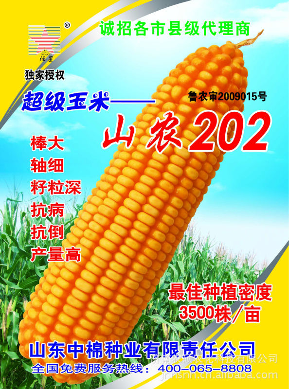 稷秾3玉米种子图片
