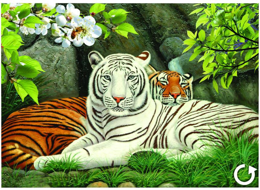 顶呱呱画业pet厚0.9 30*40cm 型号dw856 动物立体画