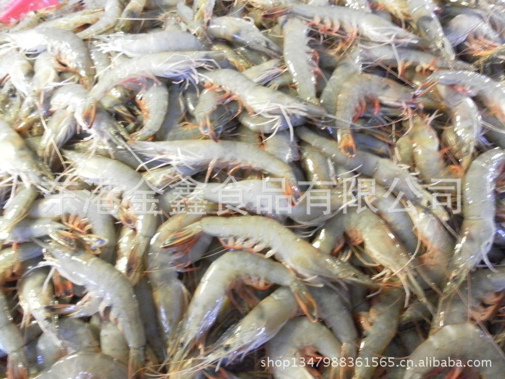 纯海水养殖个大肉质饱满大对虾市价