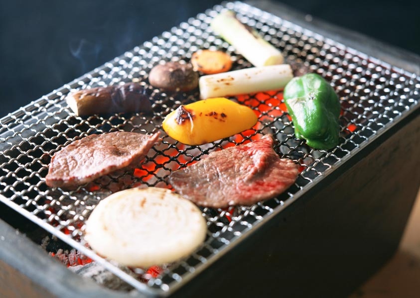 yz0068户外烧烤专用烧烤网片--材质铁镀铬