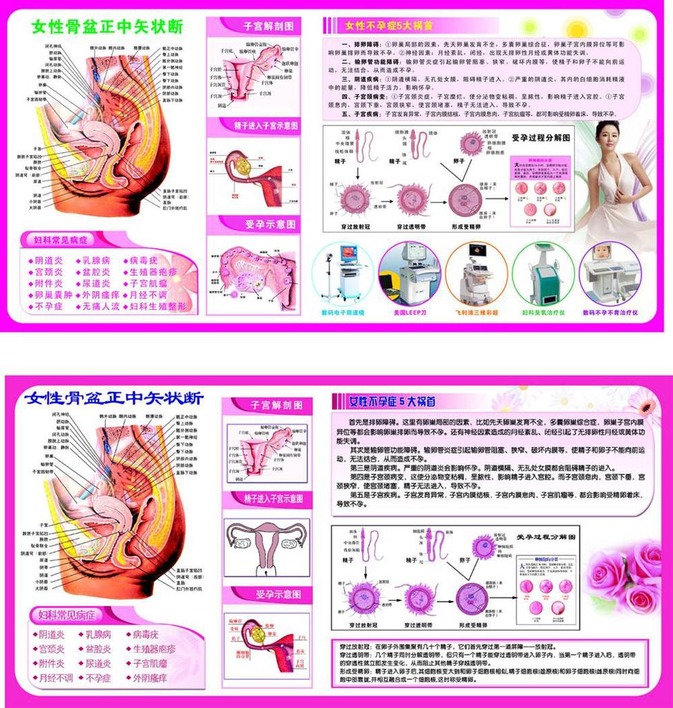 93素材健康海报展板261女性解剖 图 生殖 妇科