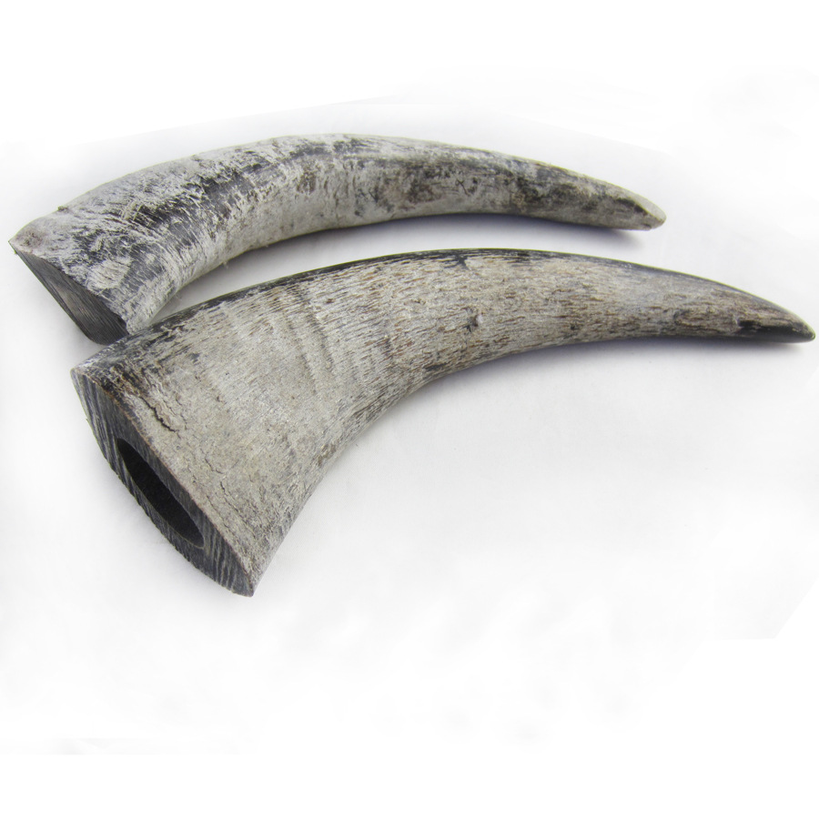 供应厂家直销 大量牛角原材 水牛角 角尖