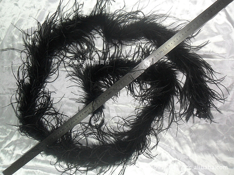 南非洲进口鸵鸟毛绒条 鸡毛条 狂欢节 走秀 服装装饰 现货