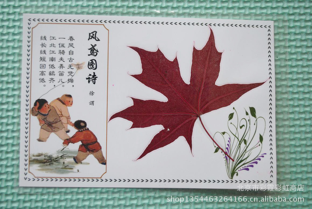 (枫叶07)香山红叶 精美贺卡 枫叶标本 生日贺卡节日贺卡 祝福卡
