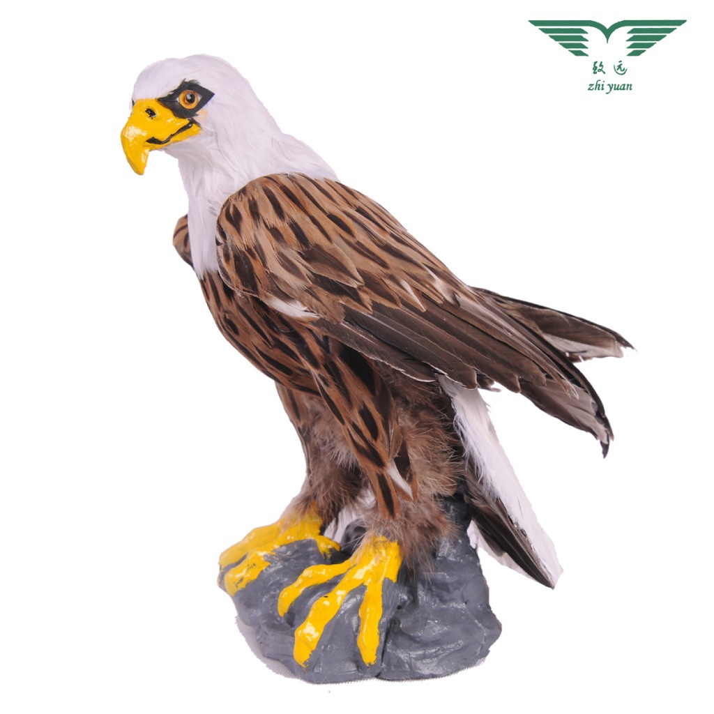 仿真雄鹰 仿真老鹰 仿真教学模型手工艺品厂家直销批发