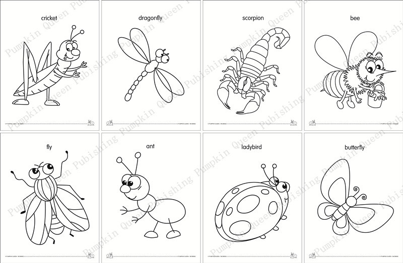 早教英语书幼儿园昆虫主题填色本益智本skcb0002幼教英语本批发