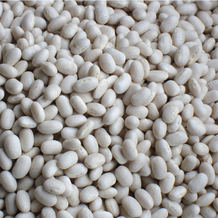 优质小白豆雪豆白芸豆精选白云豆杂粮补