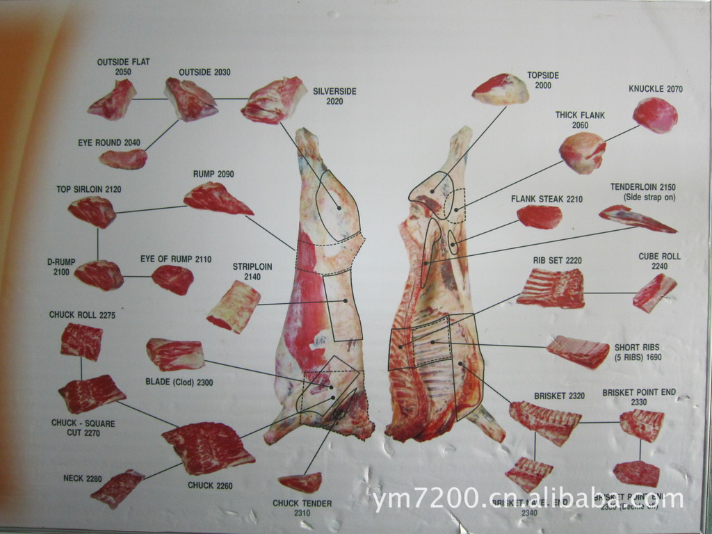 羊的部位的所有器官图片