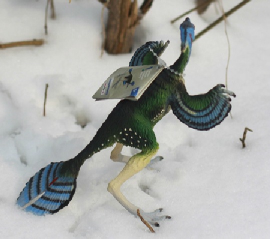 safari正品仿真尾羽龙模型玩具欧盟ce认证无毒无味