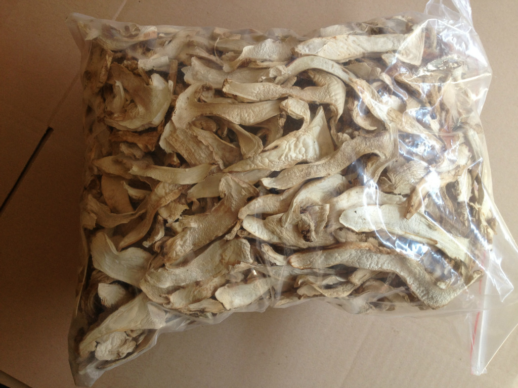 优质食用菌-----aa级松茸干片