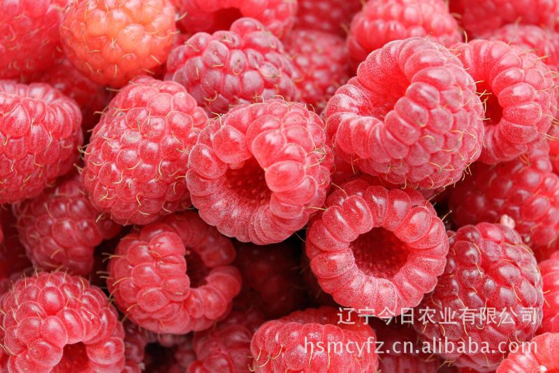供应高质饮品红树莓果茶(320g)