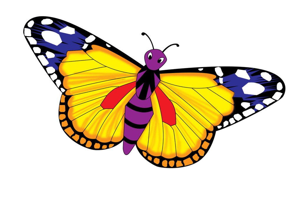 【图】低价供应外销风筝 精美热转印风筝 蝴蝶风筝b款_风筝_列表网