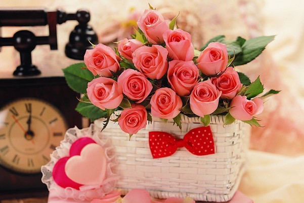 祝曹敏老师明天生日快乐 海之燕 打底裤,彩色裤子