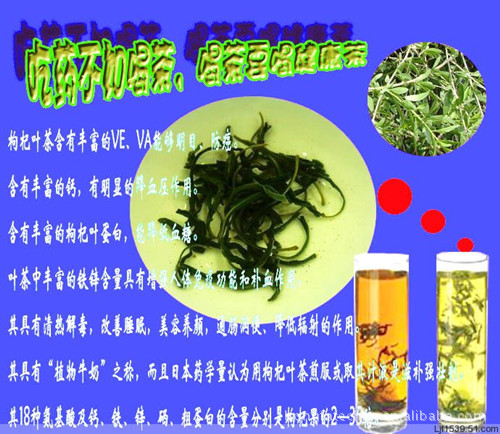 枸杞叶茶,茶叶精品!