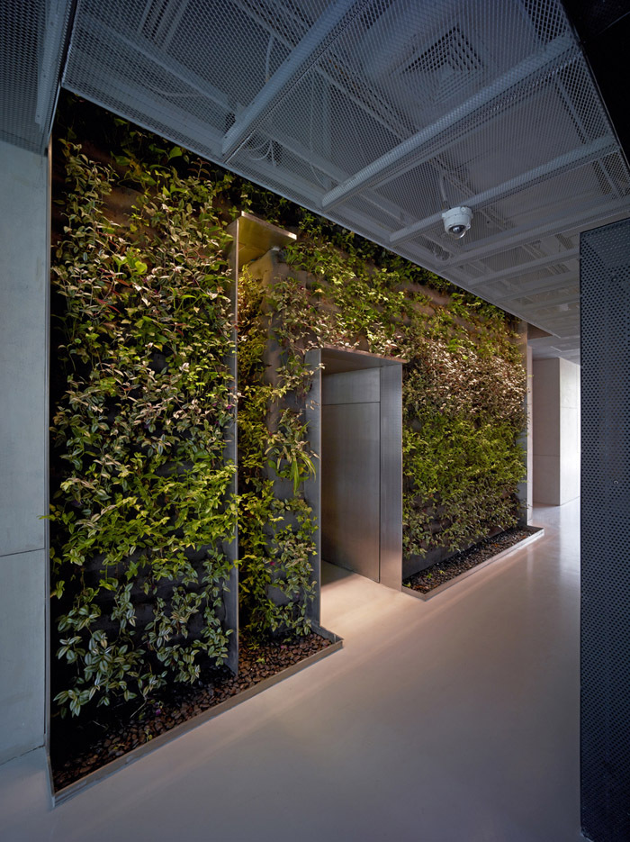 天津塘沽区自用办公楼室内墙体绿化