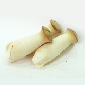 出口级迷你杏鲍菇