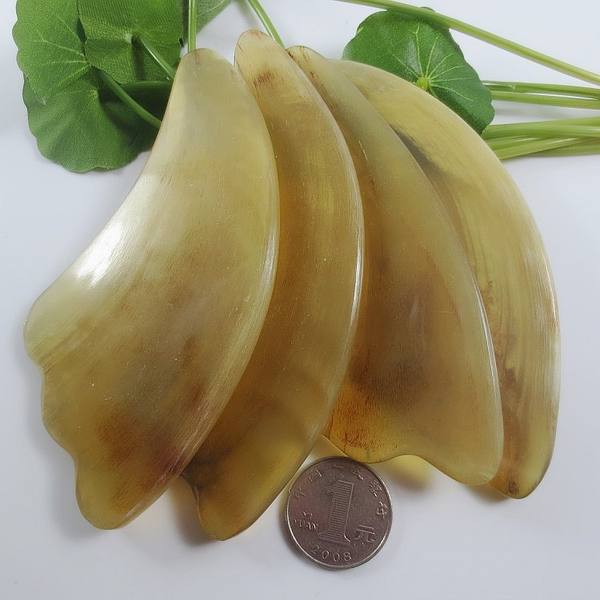 羊角保健产品按摩片yj700340-经络保健器材价格/参数/生产厂家(象山区