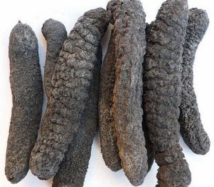 干制水产品 500克/25头左右 大乌参 野生海参 深海 干海参