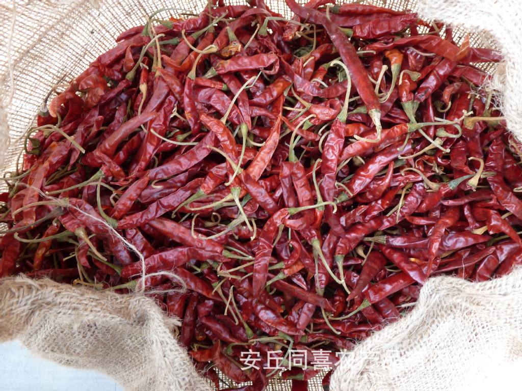 优质进口印度椒干(s-17/s-4)