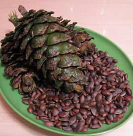 生松子-批发优质长白山红松子 后期背子 纯干货 850粒/500克-生松子尽