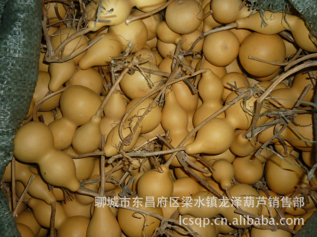 天然葫芦批发 原色葫芦