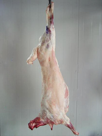 供应新鲜冷冻清真羊胴体 羊肉4/6分体 量大从优