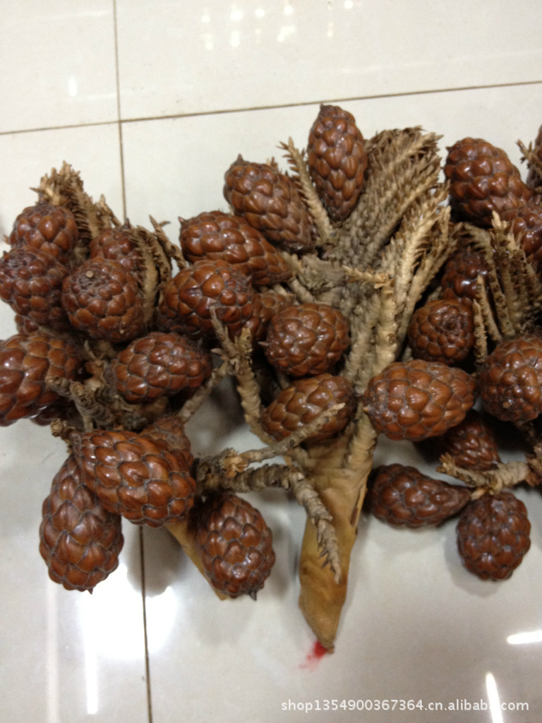 大量批发野生铁树子菩提子 手把件 挂件 饰品 佛珠 念珠图片_6