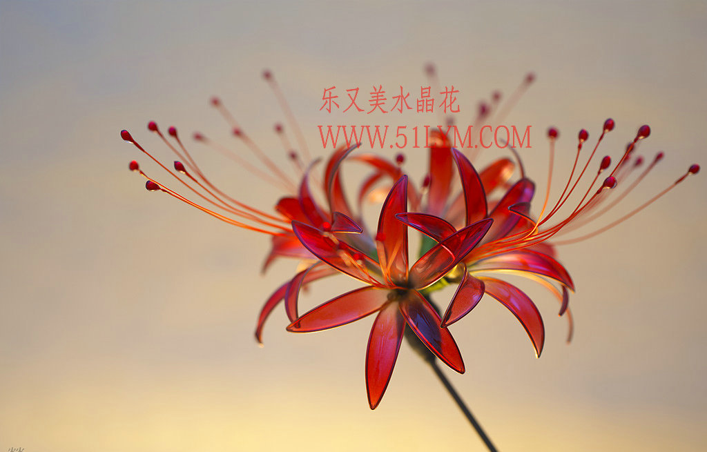 水晶花,造花液,彩色铁丝图片_5