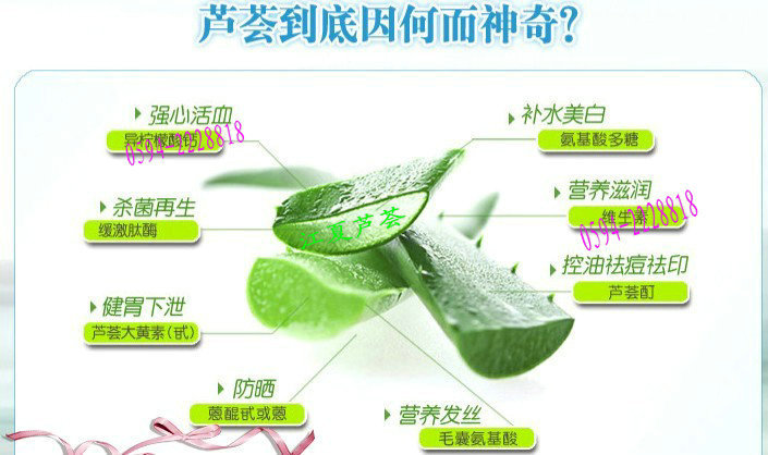 供应芦荟胶囊专用100目芦荟全叶粉 芦荟凝胶粉