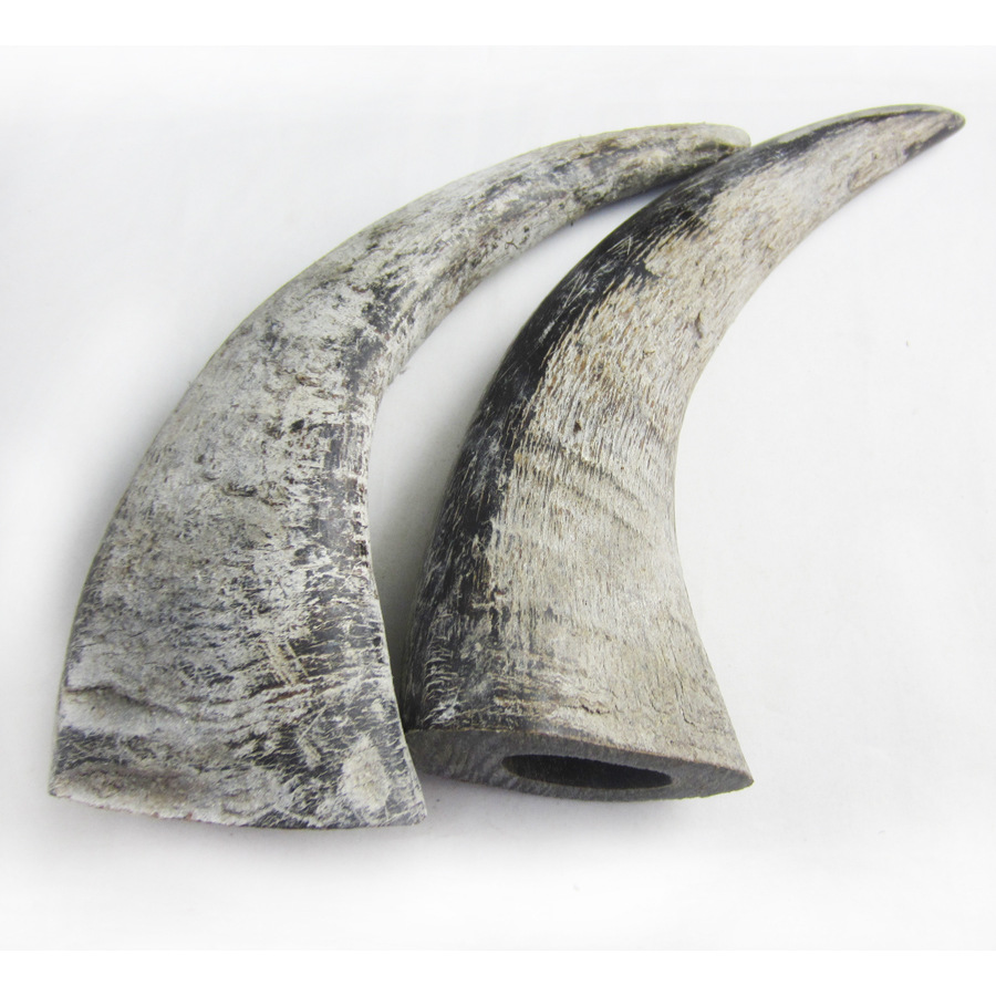 厂家直销 大量牛角原材 水牛角 角尖