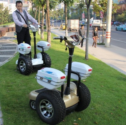 电动车 代步车 观光车 四轮站立车8800-1l