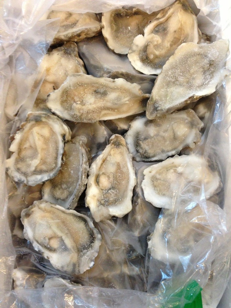 混批/支付宝/104g半壳单冻生蚝 新鲜活冻 厂家直销 一箱20斤96个