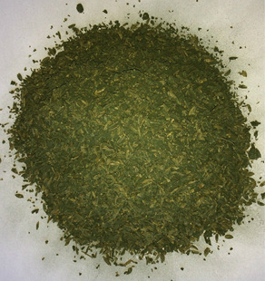 济宁长泰生物以质取胜专业厂家供应绿色木霉