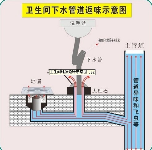 畅销ny-011 磨砂面不锈钢地漏 防臭