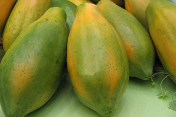 批发正宗台湾品种 红肉木瓜 水果