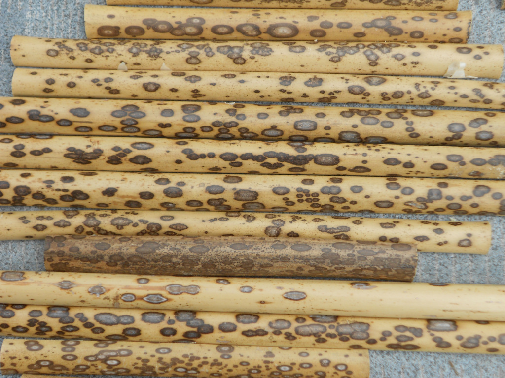 厂家直销 花斑竹 9寸18方花斑竹扇 特色礼品折扇