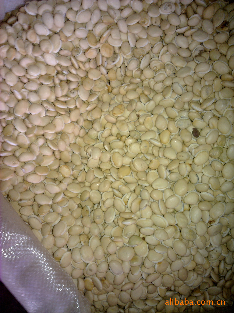 供应畅销 一等货 扁豆去湿 功效好 煲老火汤 一等 推荐扁豆