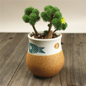 景德镇 多肉花盆 手工花盆 手绘云纹鱼 案头小花盆 陶艺花盆