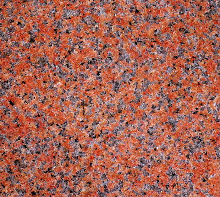 天山红(新疆红)