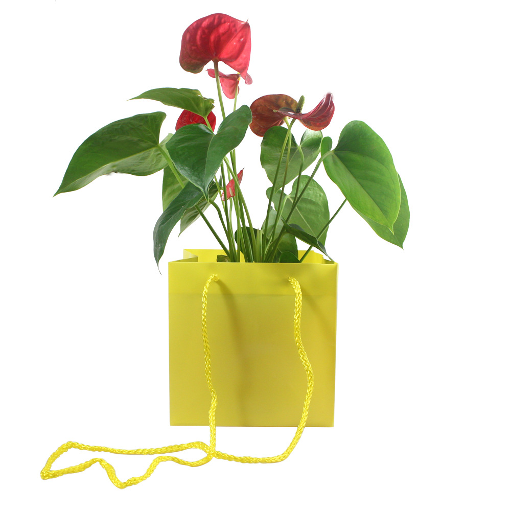 厂家直销纯色防水盆栽袋粉色花盆包装袋子正方形多肉植物手提袋子