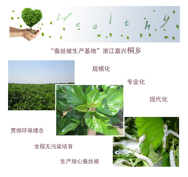 1无标题