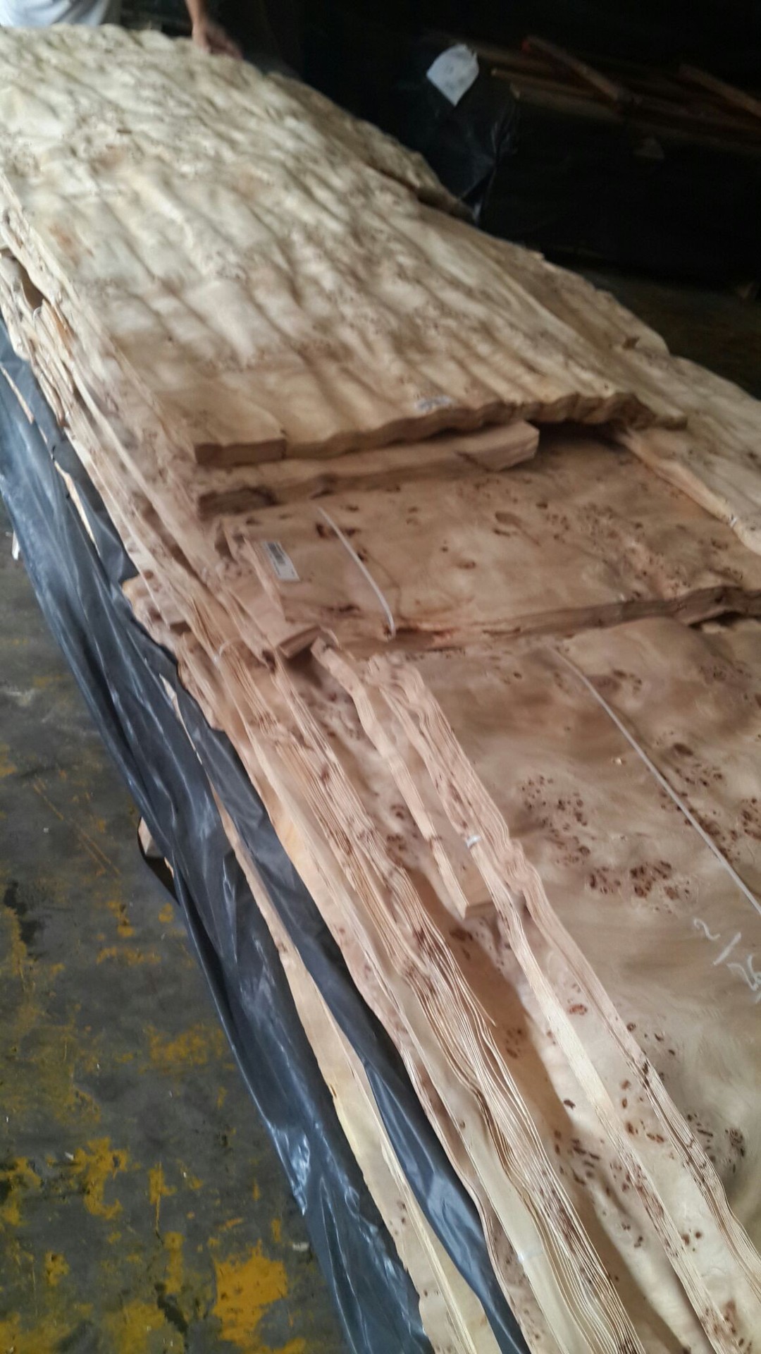 天然白杨树瘤木皮 天然树瘤实木皮 家具橱柜木门面板贴面皮贴音箱