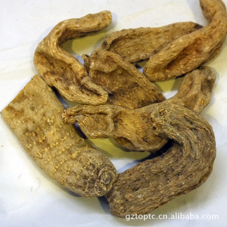 「植物中药材」乾珍网贵州特产 贵州三宝 野生三宝 灵芝 杜仲 野生