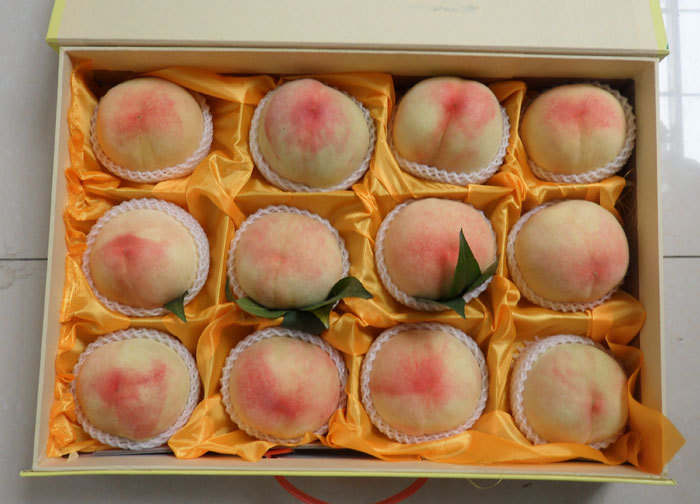 5两左右12个装阳山水蜜桃 汁多肉多 甜
