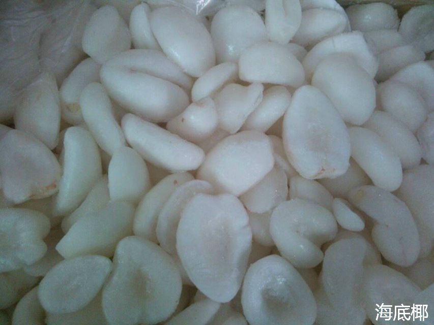 直销批发 海底椰 优质低价图片_3