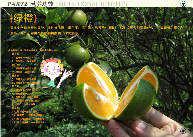 雄军果业：探索鲜美与健康的完美交融