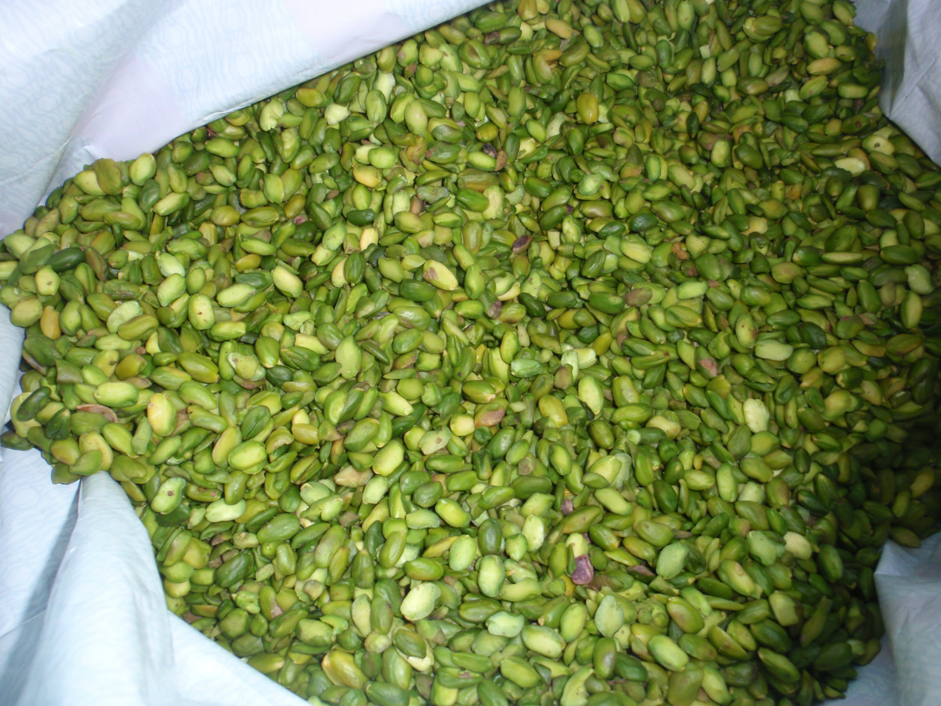 绿色开心果仁开心果核心